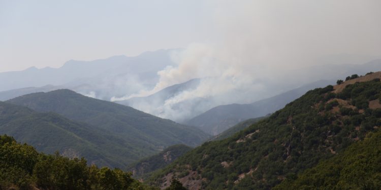 DBP ve HDP’liler Dersim’de: Yangınlar düşmanlık politikasının sonucu