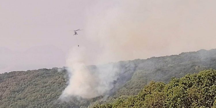 Dersim’deki yangına 13 gün sonra müdahale