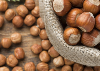 Fındık alım fiyatına itiraz: Maliyeti karşılamıyor