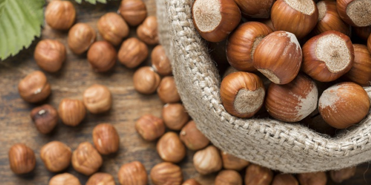 Fındık alım fiyatına itiraz: Maliyeti karşılamıyor Fındık alım fiyatına itiraz: Maliyeti karşılamıyor