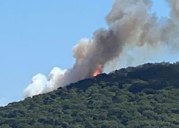 Heybeliada’da orman yangını