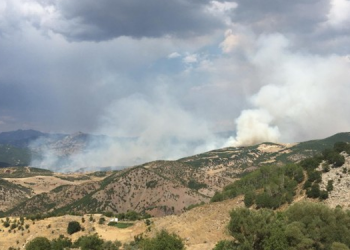 Hozat kırsalı 3 gündür yanıyor