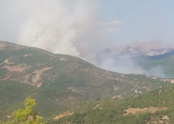 Hozat’ta orman yangını