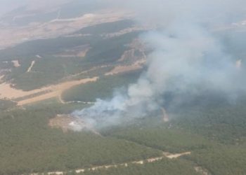 İzmir’de iki ayrı ilçede orman yangını