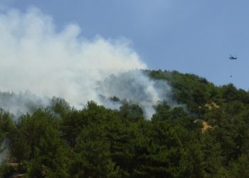 Milas’ta yangın kontrol altına alındı