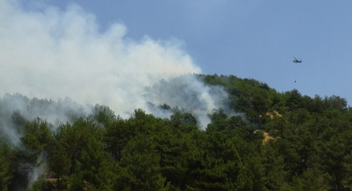 Milas’ta yangın kontrol altına alındı Milas’ta yangın kontrol altına alındı