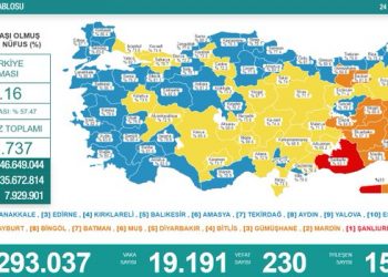 24 saatte 230 kişi daha hayatını kaybetti
