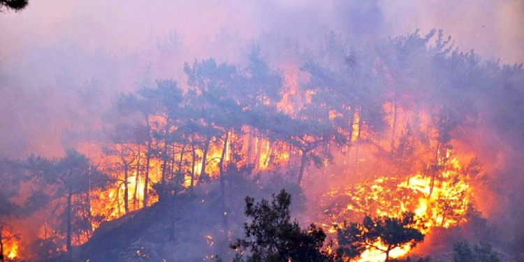 ‘Yanan yerlere batıda otel, bölgede karakol yapılıyor’ ‘Yanan yerlere batıda otel, bölgede karakol yapılıyor’