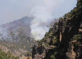 ‘Dersim yanmıyor, yakılıyor’
