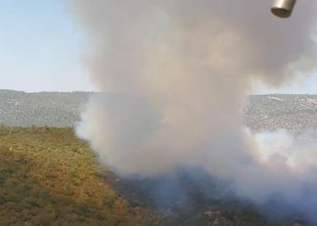 Milas ve Pülümür’de orman yangını