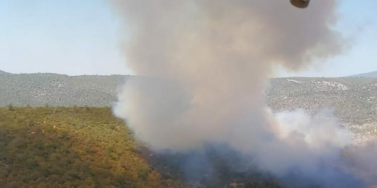 Milas ve Pülümür’de orman yangını