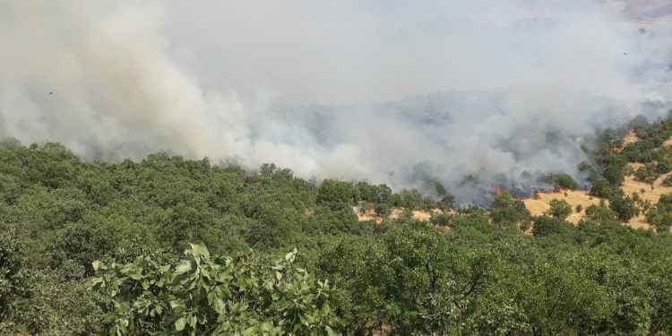 Savaş uçaklarının bombaladığı bölge 4 gündür yanıyor