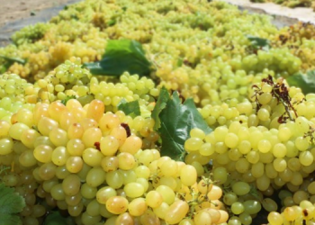 Maliyet yükseldi, üretici kaygılı