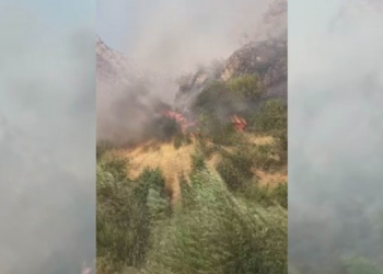 Şemdinli’deki yangın için ‘acil’ çağrı