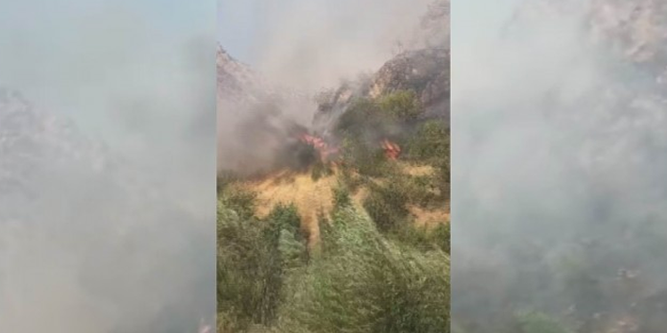 Şemdinli’deki yangın için ‘acil’ çağrı Şemdinli’deki yangın için ‘acil’ çağrı