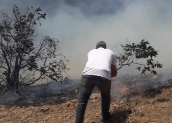 Tekrar başlayan yangın yerleşim yerlerine ilerliyor