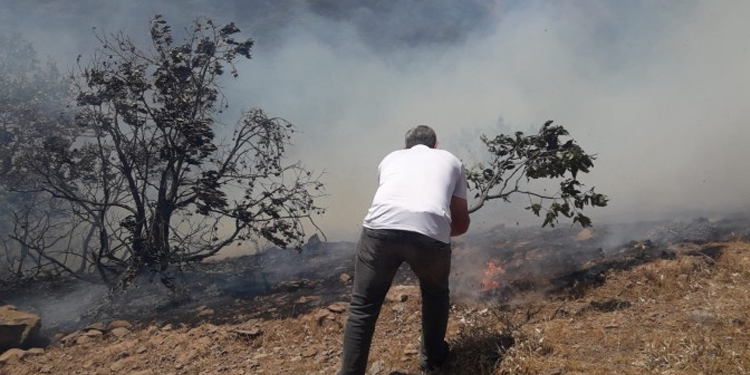Tekrar başlayan yangın yerleşim yerlerine ilerliyor Tekrar başlayan yangın yerleşim yerlerine ilerliyor