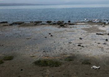 Kuraklık Van Gölü’nü etkiledi: Su seviyesi 3 metre düştü