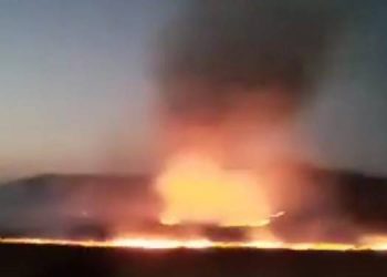 Yüksekova’da Nehil Sazlığı’nda yangın