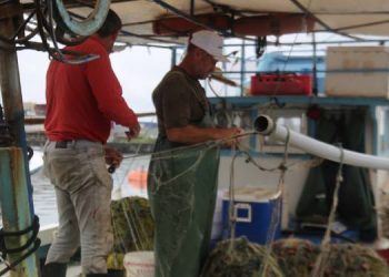 Hopalı balıkçılar denize açılamadı