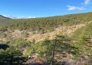 Yaban Hayatı Geliştirme Sahası’na krom ocağı