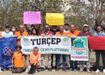 Turgutlu’da kirlilik ağaçları kuruttu