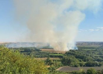 Hevsel Bahçeleri’nde yangın