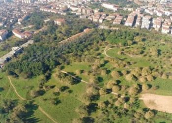 Mahkeme Validebağ Korusu’nda yapılaşmanın önünü açtı