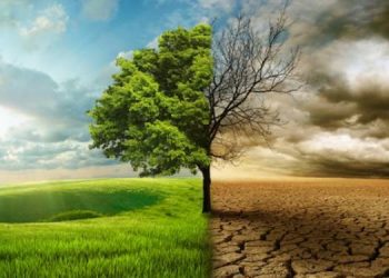 Türkay: İklim krizine karşı ekolojik paradigma imkansız değil