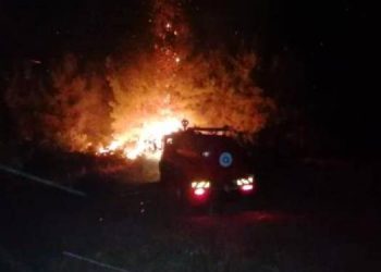 Manavgat’ta orman yangını