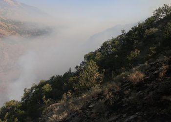 Munzur Vadisi’nde orman yangını