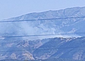 Solhan’da orman yangını