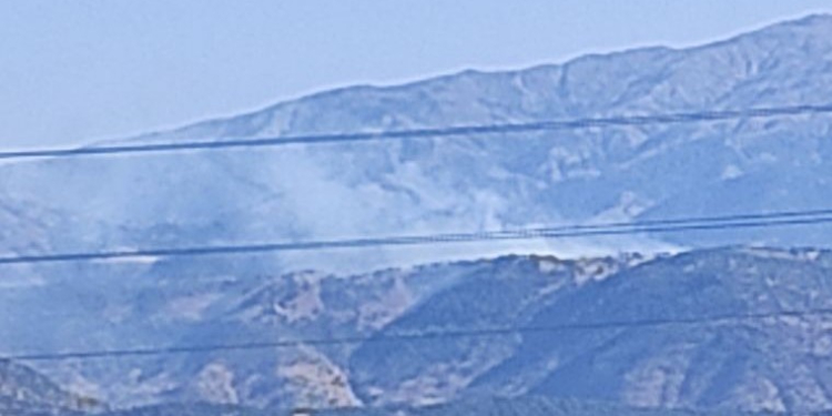 Solhan’da orman yangını Solhan’da orman yangını