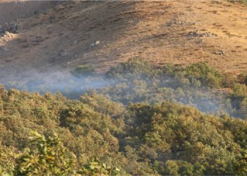 Şemdinli’deki orman yangını kısmi olarak kontrol altına alındı