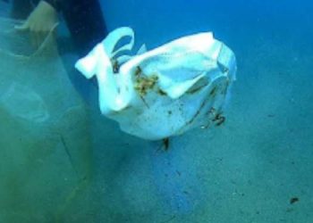 Deniz tabanı maske ve eldiven dolu