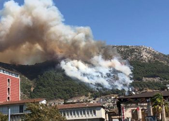 Hatay’da orman yangını