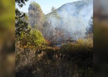 Hatay’da orman yangını