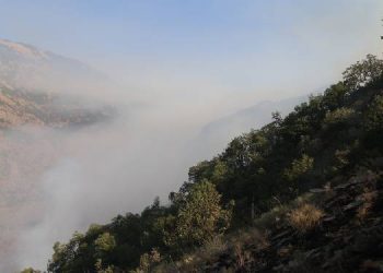 Sal Deresi’ndeki yangın söndürüldü