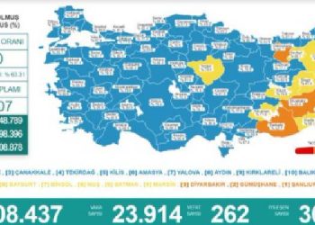 Koronadan 262 kişi daha hayatını kaybetti