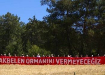 Akbelen’de kömür taşıma bandı inşası durdurulacak