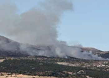 Ankara Çubuk’ta çıkan orman yangınına müdahale ediliyor