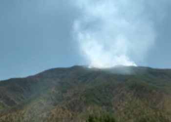 Baykan’da karakol karşısında orman yangını