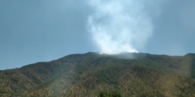 Baykan’da karakol karşısında orman yangını Baykan’da karakol karşısında orman yangını