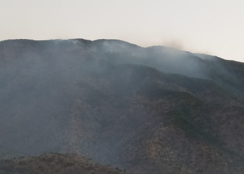 Baykan’daki orman yangını sürüyor