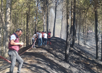 Bingöl’deki yangın söndürüldü