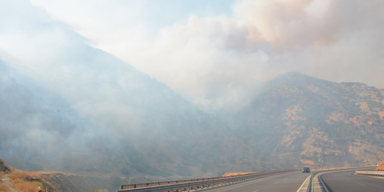 Bitlis’te yangın sürüyor: Binlerce hektar küle döndü Bitlis’te yangın sürüyor: Binlerce hektar küle döndü