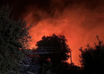 Bodrum’da makilik alanda yangın