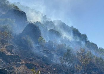 CPT raporu: Türk askerleri tarım arazilerini ateşe veriyor