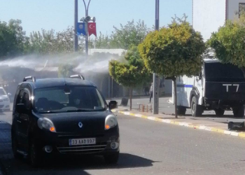 Lice’de DEDAŞ protestosuna gözaltı