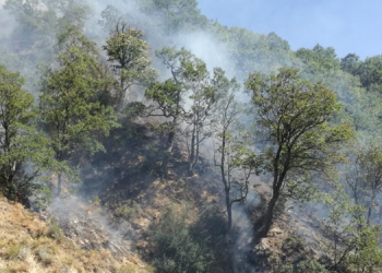 Dersim’de incelemede bulunan KESK: Kalekollar ekolojik yıkımdır